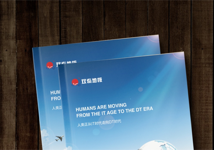 雙奇地板畫(huà)冊(cè)設(shè)計(jì)