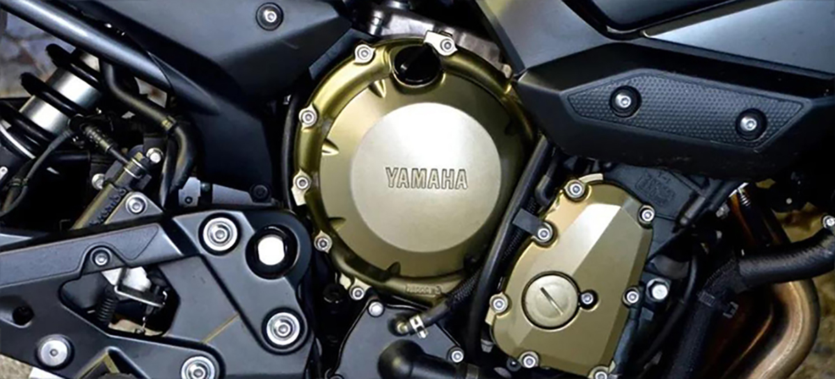 擇道觀行品牌策劃