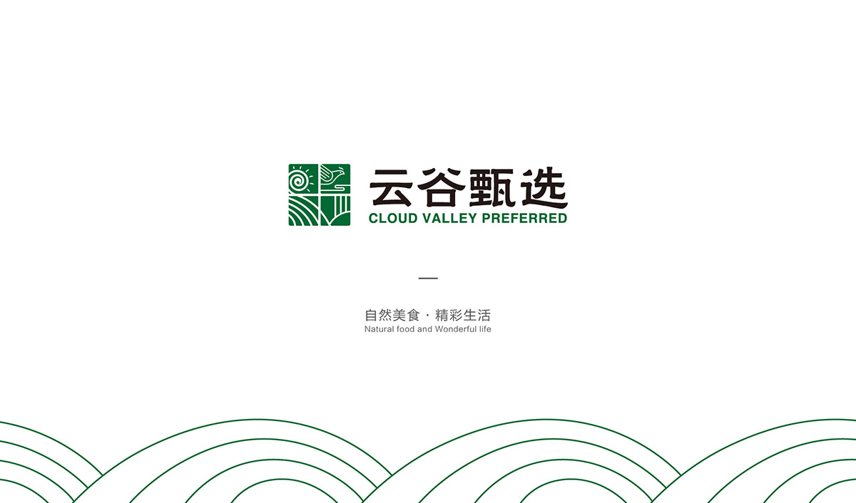 江蘇擇道logo設(shè)計(jì)案例