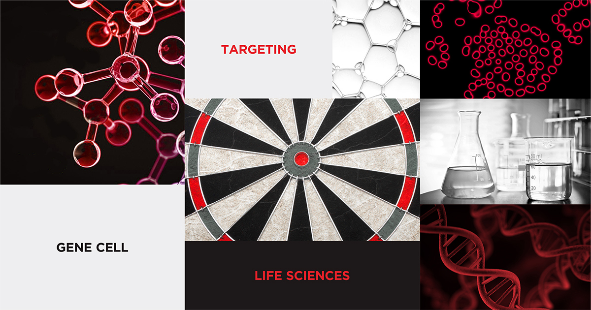 安迪蘇品牌VIS設(shè)計,企業(yè)品牌vi設(shè)計