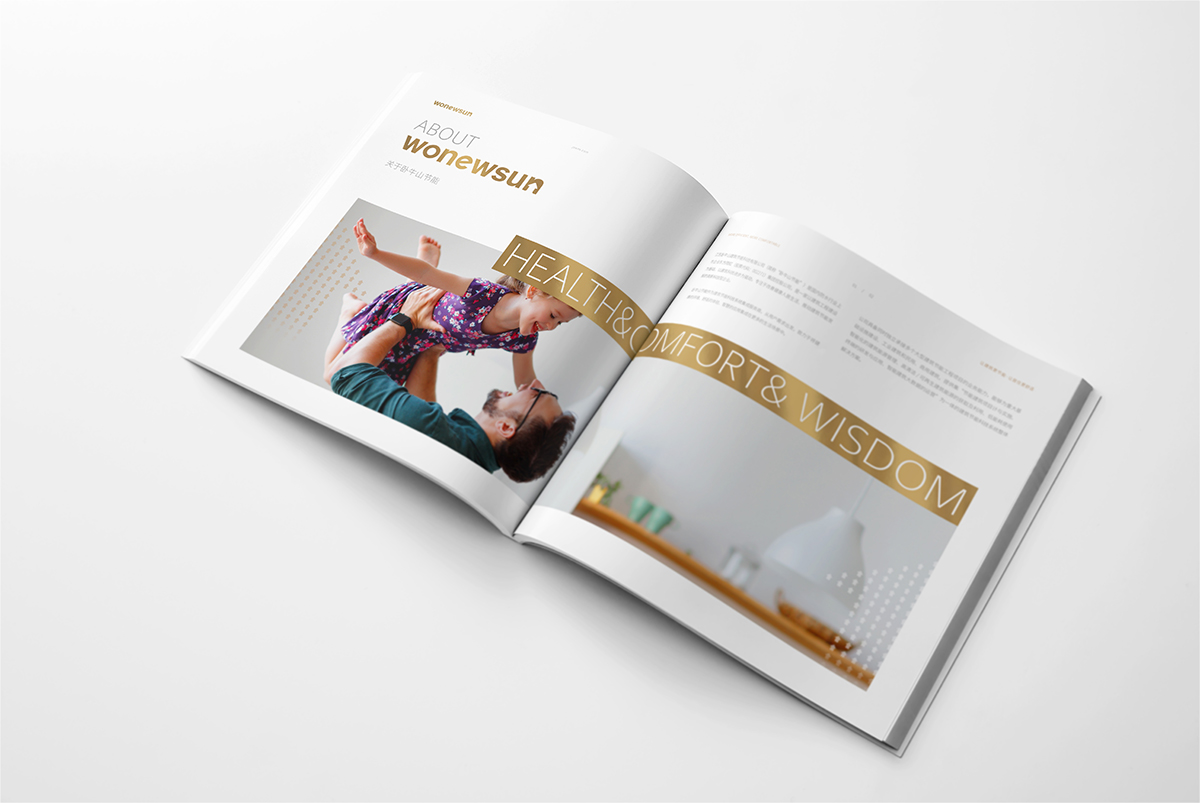 專業(yè)的設(shè)計(jì)公司,宣傳彩頁(yè)設(shè)計(jì)